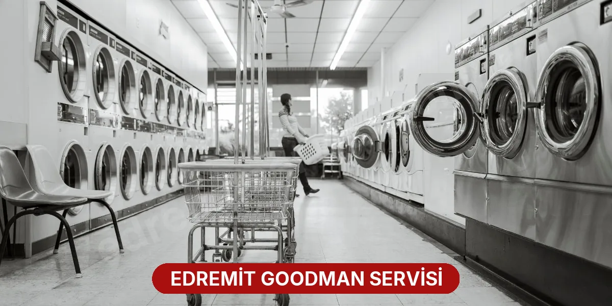Edremit Goodman Servisi